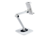 StarTech.com Adjustable Tablet Stand for Desk, Desk/Wall Mountable, Supports Up to 2.2lb, Universal Tablet Stand Holder for Desk, Articulating Tablet Mount with Pivot/Swivel/Rotate - Back